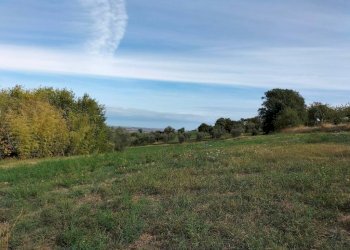 Terreno - Rustico via San Paterniano, 10, Serra de' Conti - foto 17