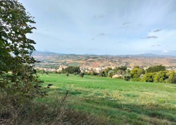 Terreno - Rustico via San Paterniano, 10, Serra de' Conti - foto 18