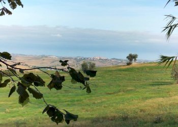 Terreno - Rustico via San Paterniano, 10, Serra de' Conti - foto 19