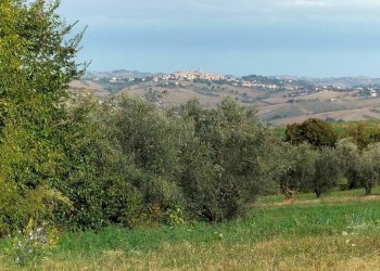 Vista - Rustico via San Paterniano, 10, Serra de' Conti - foto 22