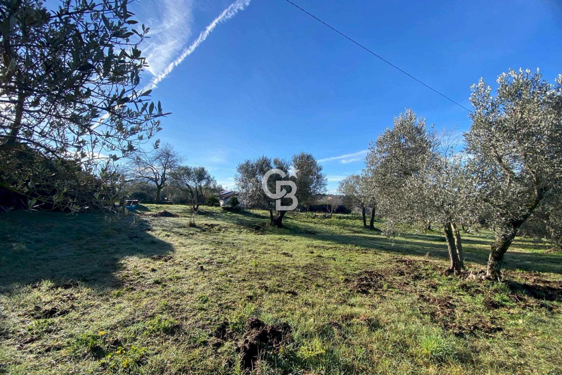 Foto 3 - Terreno agricolo Strada Morello
 
snc, Viterbo - foto 3