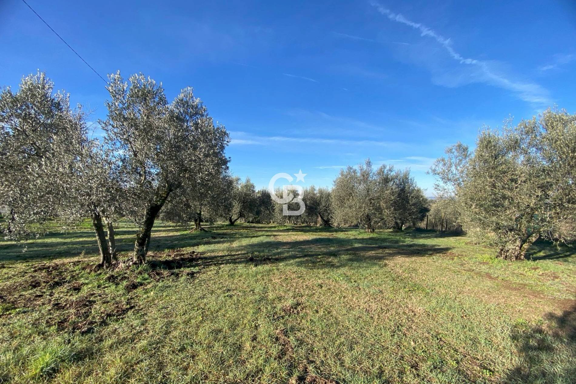 Foto 1 - Terreno agricolo Strada Morello
 
snc, Viterbo - foto 1