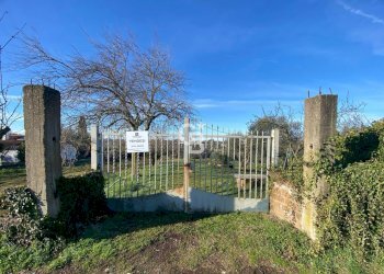 Foto 3 - Agricultural land Strada Morello
 
snc, Viterbo - photo 3