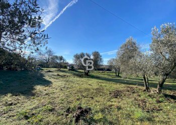 Foto 4 - Agricultural land Strada Morello
 
snc, Viterbo - photo 4