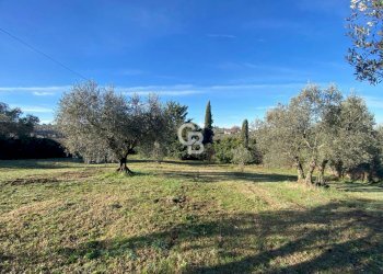 Foto 6 - Agricultural land Strada Morello
 
snc, Viterbo - photo 6