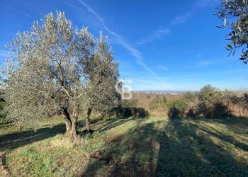 Foto 7 - Agricultural land Strada Morello
 
snc, Viterbo - photo 7