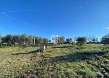 Foto 8 - Agricultural land Strada Morello
 
snc, Viterbo - photo 8