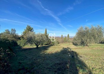 Foto 9 - Agricultural land Strada Morello
 
snc, Viterbo - photo 9