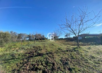 Foto 10 - Agricultural land Strada Morello
 
snc, Viterbo - photo 10