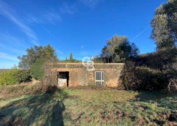 Foto 12 - Agricultural land Strada Morello
 
snc, Viterbo - photo 12