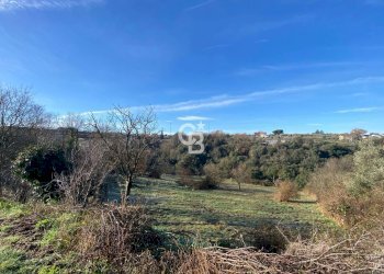 Foto 14 - Agricultural land Strada Morello
 
snc, Viterbo - photo 14