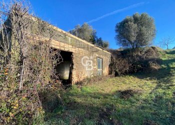 Foto 17 - Agricultural land Strada Morello
 
snc, Viterbo - photo 17