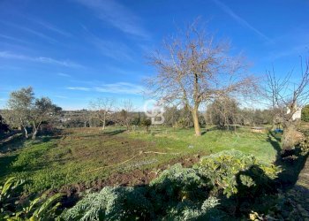 Foto 18 - Agricultural land Strada Morello
 
snc, Viterbo - photo 18