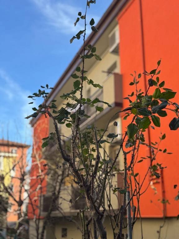 Vista - Quadrilocale via Marco Minghetti, 6, Casalecchio di Reno - foto 3