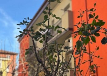 Vista - Quadrilocale via Marco Minghetti, 6, Casalecchio di Reno - foto 3