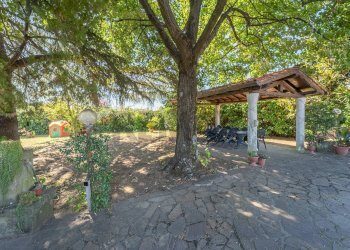 Giardino - Villa Via Colle Zioni
 
8, Velletri - photo 10