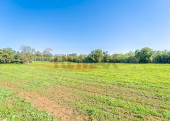 Giardino - Villa Via Colle Zioni
 
8, Velletri - photo 12