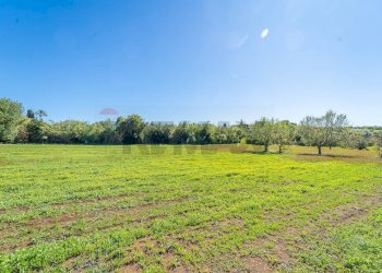 Giardino - Villa Via Colle Zioni
 
8, Velletri - photo 13