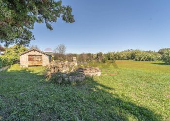 Giardino - Villa Via Colle Zioni
 
8, Velletri - photo 37