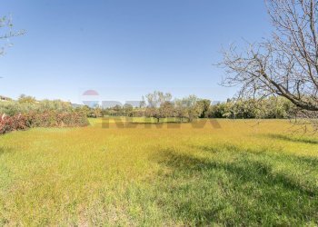 Giardino - Villa Via Colle Zioni
 
8, Velletri - photo 40