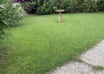 Giardino - Villa via del Puntone, Montignoso - foto 13