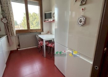 IMG_3758.jpg - Quadrilocale Via Della Commenda 6, Noceto - foto 14