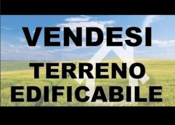 616860032.jpg - Locale Commerciale Via Cascinapiano 10, Langhirano - foto 1