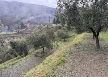 66BB70E8-A6EA-4105-A6DB-EBC13C877CF2.jpeg - Porzione di casa San Colombano Certenoli - foto 6