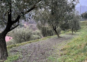 C48921E7-1C25-48D1-AD20-695293084766.jpeg - Porzione di casa San Colombano Certenoli - foto 7