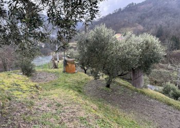 EB488F2E-DCC0-4BA7-8B2F-009CF5290DCD.jpeg - Porzione di casa San Colombano Certenoli - foto 8