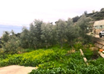 1.1.jpg - Villa Galleria Costa Martina, Ospedaletti - photo 8