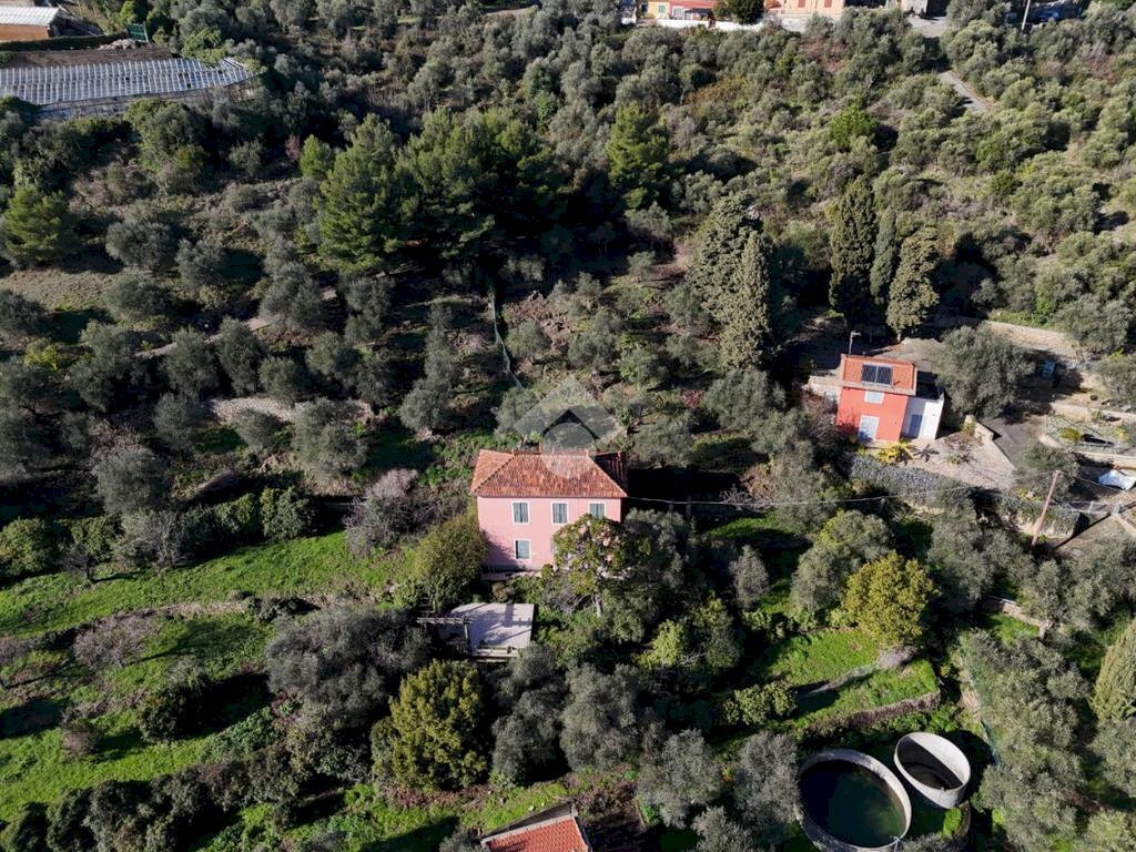 Terreno edificabile Salita Aicardi, Imperia - foto 3