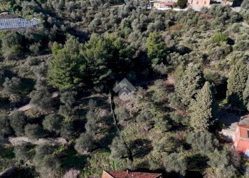 Terreno edificabile Salita Aicardi, Imperia - foto 5