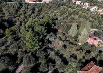 Terreno edificabile Salita Aicardi, Imperia - foto 28