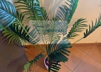 Trilocale Via Brancati, Melilli - foto 20