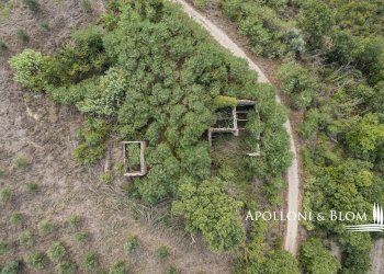 Rustico Via Fiume, 25, Asciano - foto 8