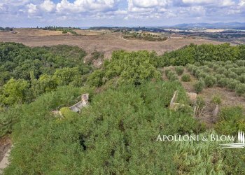 Rustico Via Fiume, 25, Asciano - foto 11