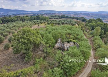 Rustico Via Fiume, 25, Asciano - foto 15