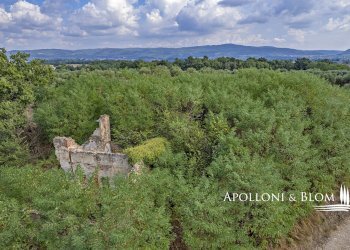 Rustico Via Fiume, 25, Asciano - foto 20