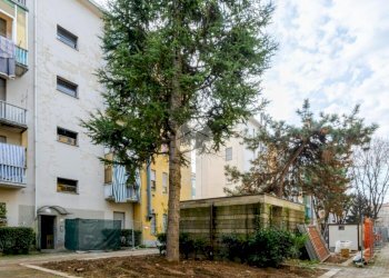 Bilocale Via Privata Filippo Abbiati, Milano (zona San Siro) - foto 2