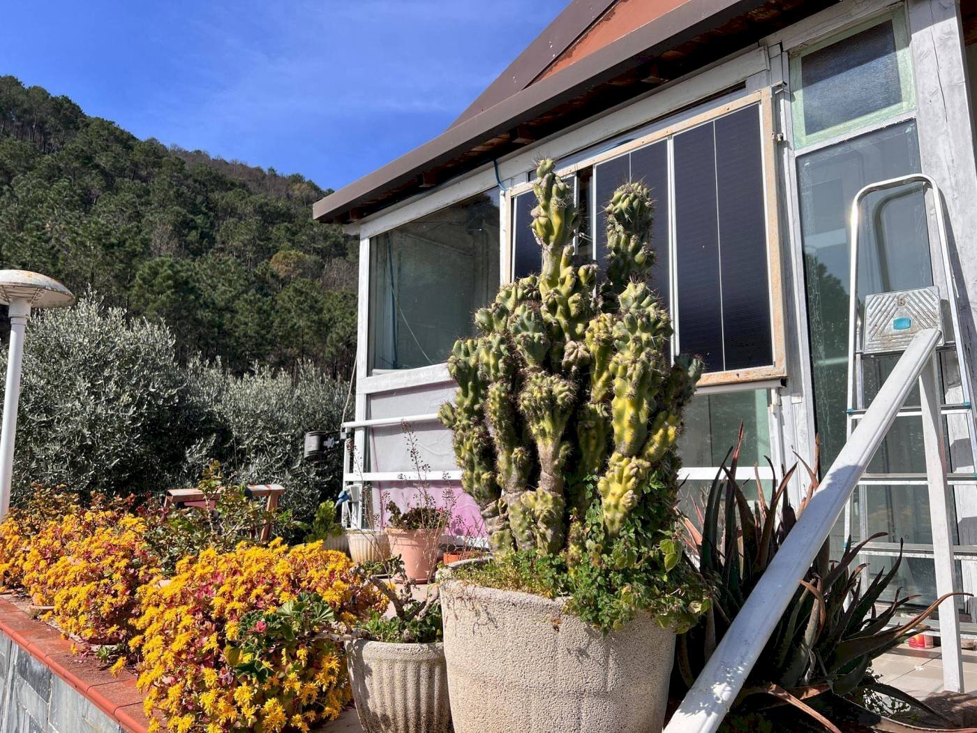 Villa Strada Provinciale Sud, Ceriana - foto 2