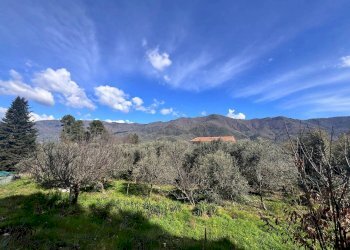 Villa Strada Provinciale Sud, Ceriana - foto 6