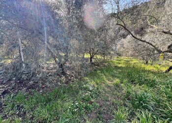 Villa Strada Provinciale Sud, Ceriana - foto 11