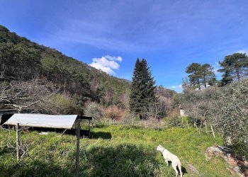 Villa Strada Provinciale Sud, Ceriana - foto 12