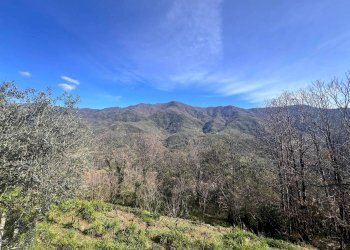 Villa Strada Provinciale Sud, Ceriana - foto 25