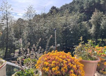 Villa Strada Provinciale Sud, Ceriana - foto 32