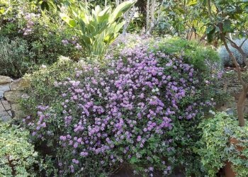 Three-room apartment Via Duca degli Abruzzi, 44, Sanremo - photo 21