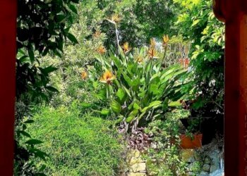 Three-room apartment Via Duca degli Abruzzi, 44, Sanremo - photo 22