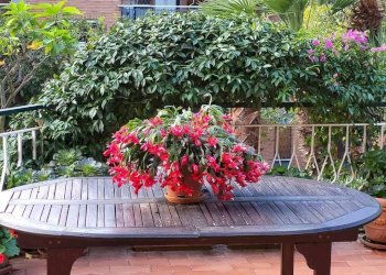 Three-room apartment Via Duca degli Abruzzi, 44, Sanremo - photo 29