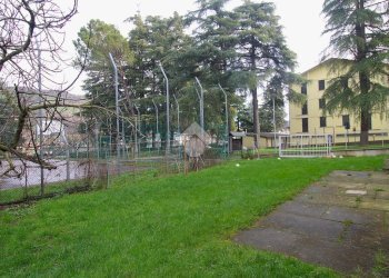 Trilocale Viale Martiri Partigiani, Civitella di Romagna - foto 23